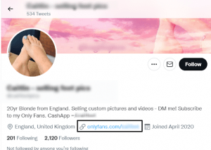 Screenshot of twitter profile image where creator promoting her onlyfans link to seel feet pics